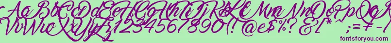 Marguerite Font – Purple Fonts on Green Background