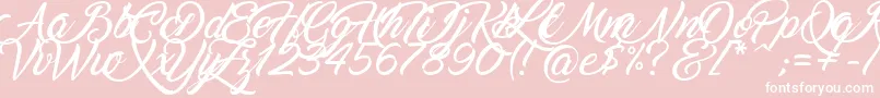 Marguerite Font – White Fonts on Pink Background