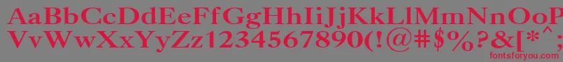 CaslonBold.001.001 Font – Red Fonts on Gray Background