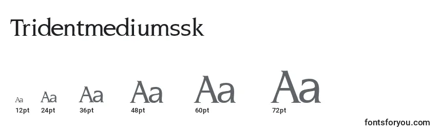 Tridentmediumssk Font Sizes