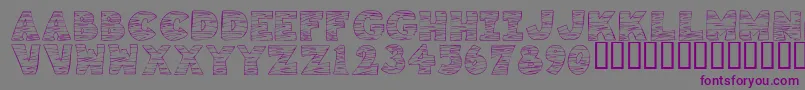 KrTigrrr Font – Purple Fonts on Gray Background