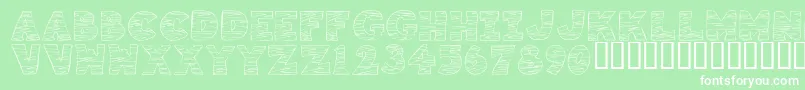 KrTigrrr Font – White Fonts on Green Background