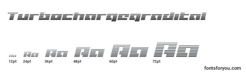 Размеры шрифта Turbochargegradital