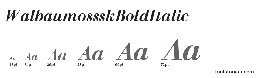 Размеры шрифта WalbaumossskBoldItalic