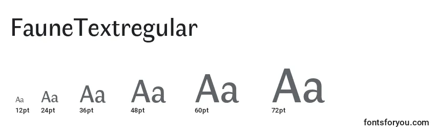 Размеры шрифта FauneTextregular