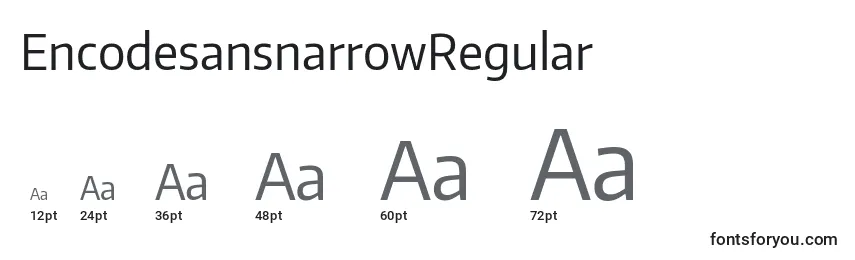 EncodesansnarrowRegular Font Sizes