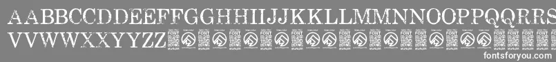 FallenspartansRegular Font – White Fonts on Gray Background