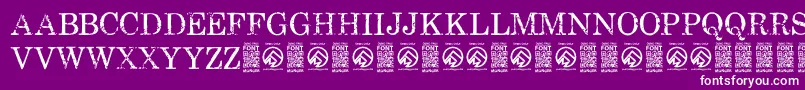 フォントFallenspartansRegular – 紫の背景に白い文字