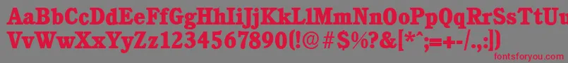 CalgaryserialXboldRegular Font – Red Fonts on Gray Background