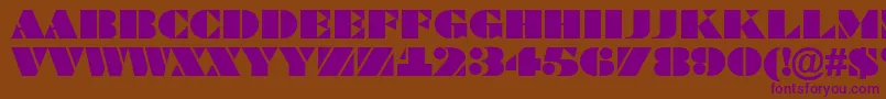 Bragga6 Font – Purple Fonts on Brown Background