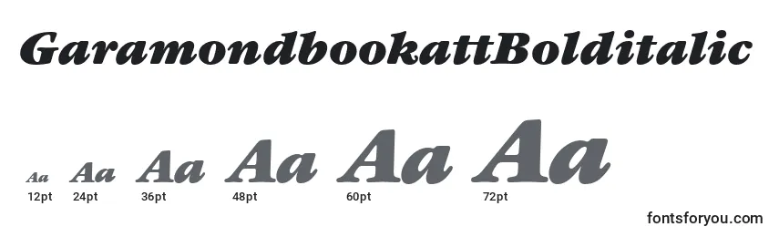 GaramondbookattBolditalic Font Sizes
