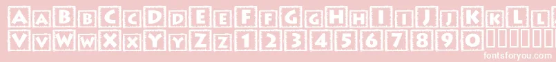 TacoBox Font – White Fonts on Pink Background