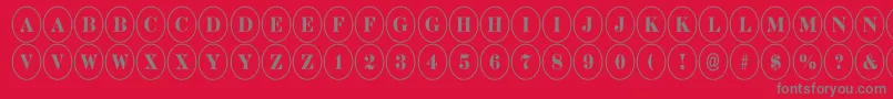 Police DiscoserifnrRegular – polices grises sur fond rouge