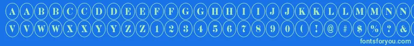 DiscoserifnrRegular Font – Green Fonts on Blue Background