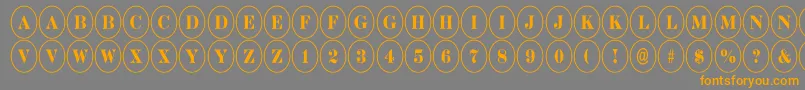 DiscoserifnrRegular Font – Orange Fonts on Gray Background