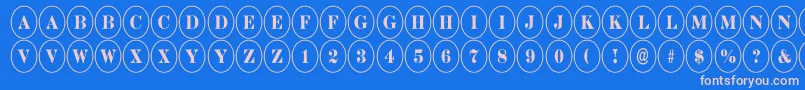 DiscoserifnrRegular Font – Pink Fonts on Blue Background