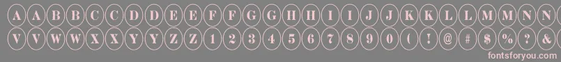 DiscoserifnrRegular Font – Pink Fonts on Gray Background