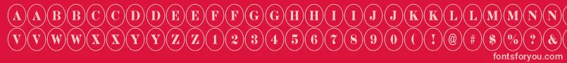 DiscoserifnrRegular Font – Pink Fonts on Red Background