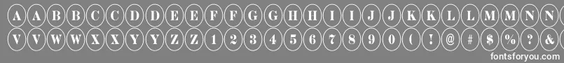 DiscoserifnrRegular Font – White Fonts on Gray Background