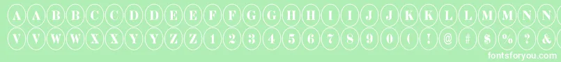 DiscoserifnrRegular Font – White Fonts on Green Background