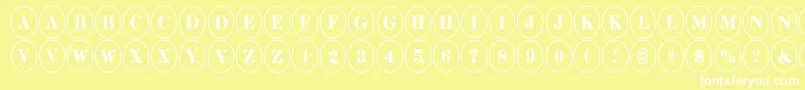 DiscoserifnrRegular Font – White Fonts on Yellow Background