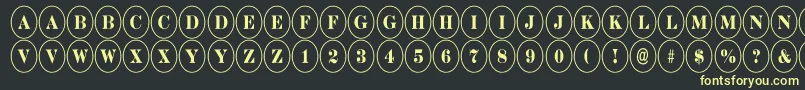 DiscoserifnrRegular Font – Yellow Fonts on Black Background