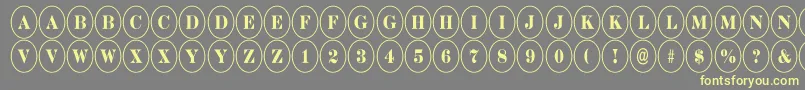 DiscoserifnrRegular Font – Yellow Fonts on Gray Background