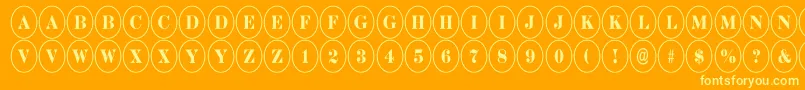 More about DiscoserifnrRegular Font DiscoserifnrRegular Font – Yellow Fonts on Orange Background