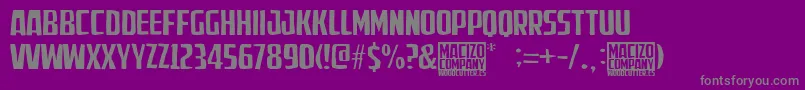 MacizoCompany Font – Gray Fonts on Purple Background