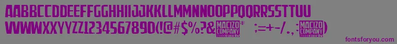 fuente MacizoCompany – Fuentes Moradas Sobre Fondo Gris