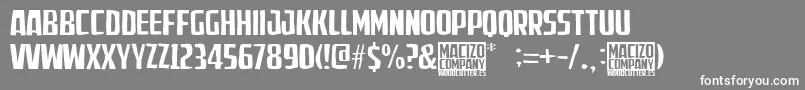 MacizoCompany Font – White Fonts on Gray Background