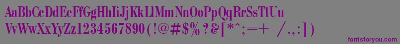 Шрифт Bodonicondctt – фиолетовые шрифты на сером фоне