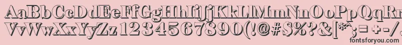 BaskervilleshadowBlackRegular Font – Black Fonts on Pink Background