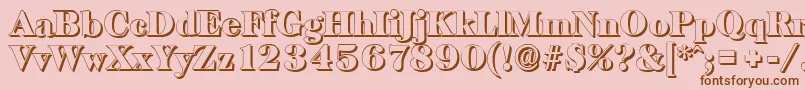 BaskervilleshadowBlackRegular Font – Brown Fonts on Pink Background