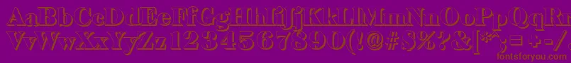 BaskervilleshadowBlackRegular Font – Brown Fonts on Purple Background