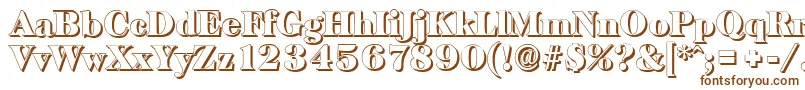 BaskervilleshadowBlackRegular Font – Brown Fonts