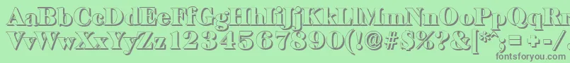 BaskervilleshadowBlackRegular Font – Gray Fonts on Green Background