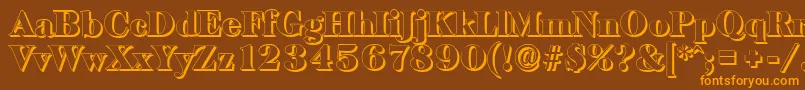 BaskervilleshadowBlackRegular Font – Orange Fonts on Brown Background
