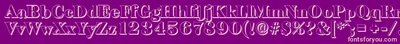 BaskervilleshadowBlackRegular Font – Pink Fonts on Purple Background