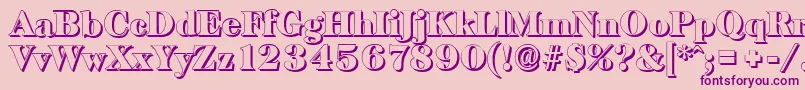 BaskervilleshadowBlackRegular Font – Purple Fonts on Pink Background