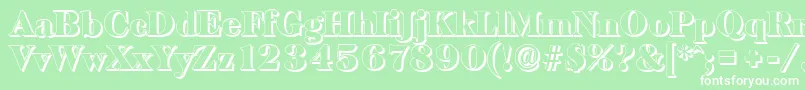 BaskervilleshadowBlackRegular Font – White Fonts on Green Background