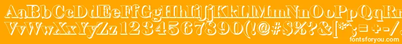 BaskervilleshadowBlackRegular Font – White Fonts on Orange Background