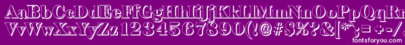 BaskervilleshadowBlackRegular Font – White Fonts on Purple Background