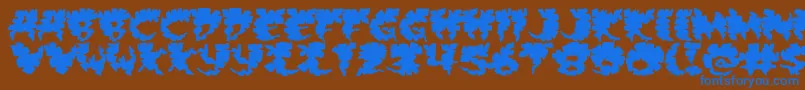 Extra Font – Blue Fonts on Brown Background
