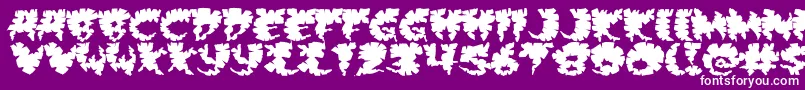 Extra Font – White Fonts on Purple Background