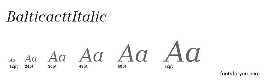 Размеры шрифта BalticacttItalic