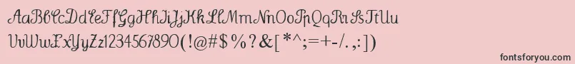 Wenceslas Font – Black Fonts on Pink Background