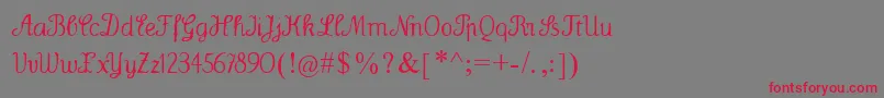 Wenceslas Font – Red Fonts on Gray Background