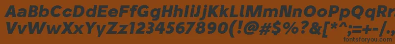 StiluBoldoblique Font – Black Fonts on Brown Background