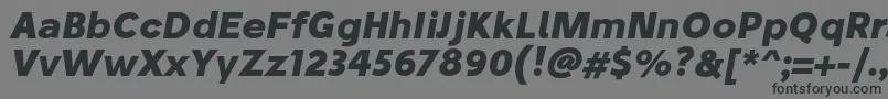 StiluBoldoblique-fontti – mustat fontit harmaalla taustalla